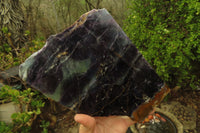 Polished Watermelon Fluorite Slices x 1 From Uis, Namibia - Toprock Gemstones and Minerals 