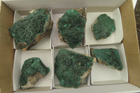 Natural Crystalline Malachite Specimens x 6 From Kasompe, Congo - Toprock Gemstones and Minerals 