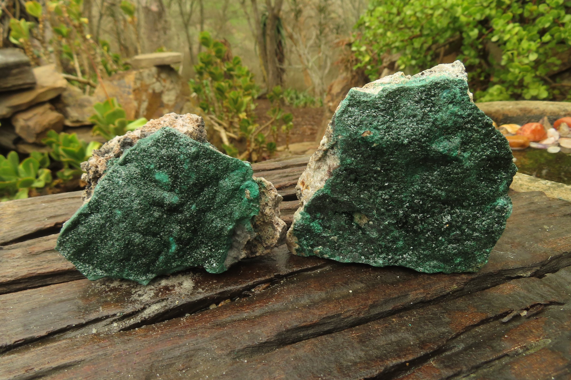 Natural Crystalline Malachite Specimens x 6 From Kasompe, Congo - Toprock Gemstones and Minerals 