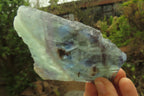 Natural Watermelon Fluorite Slices x 7 From Uis, Namibia - Toprock Gemstones and Minerals 