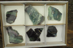 Natural Watermelon Fluorite Slices x 7 From Uis, Namibia - Toprock Gemstones and Minerals 