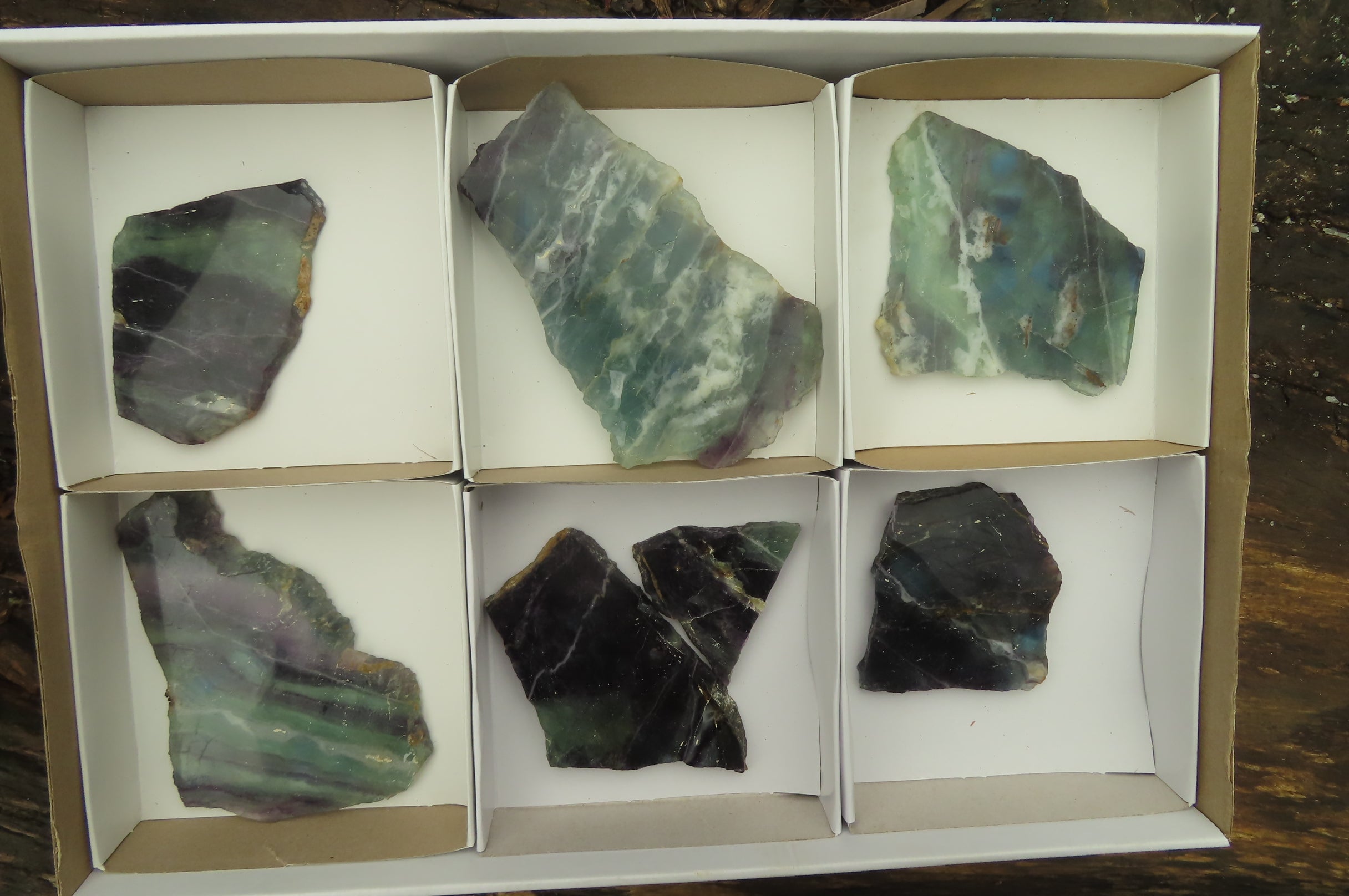 Natural Watermelon Fluorite Slices x 7 From Uis, Namibia - Toprock Gemstones and Minerals 