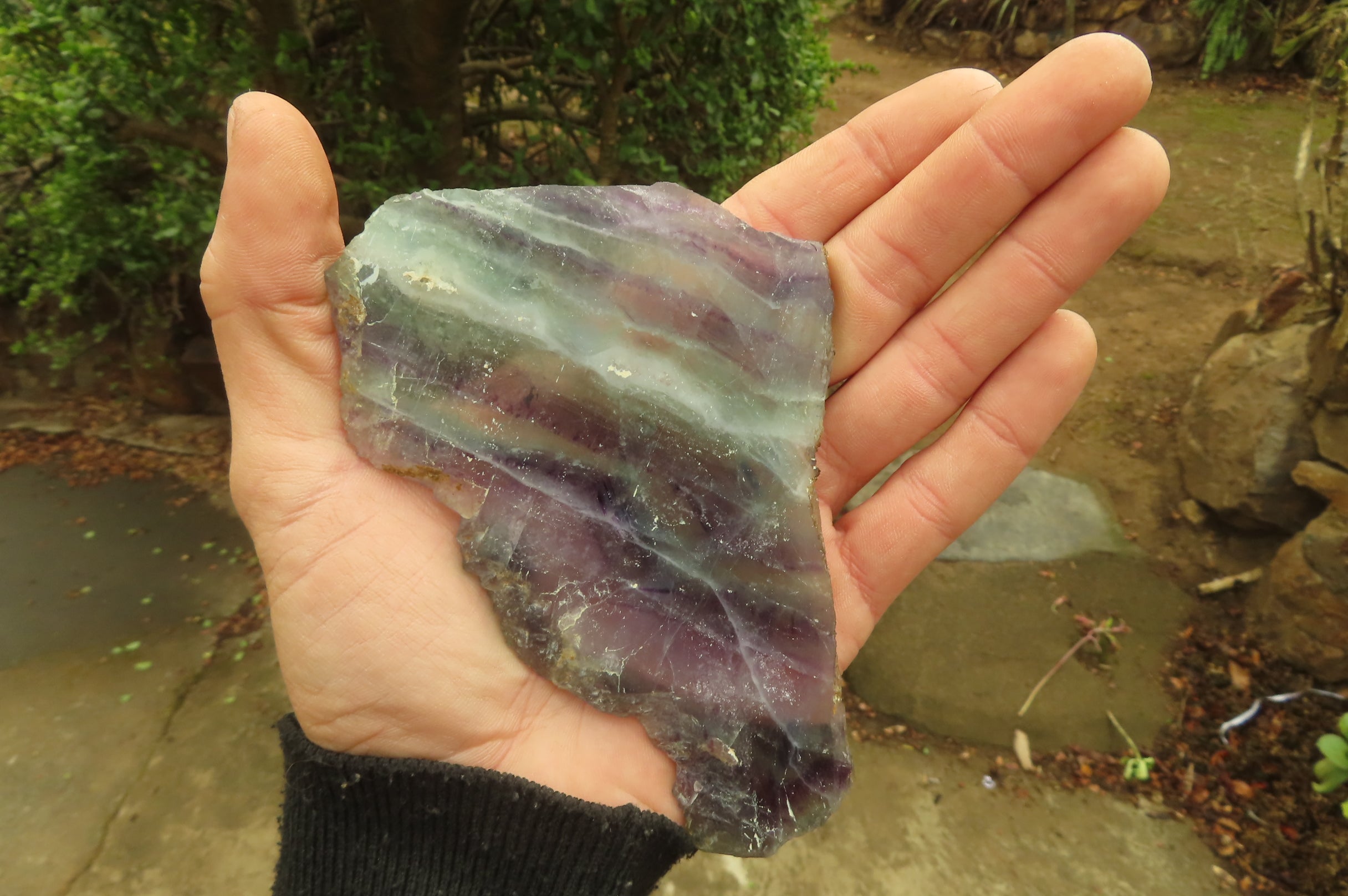 Natural Watermelon Fluorite Slices x 7 From Uis, Namibia - Toprock Gemstones and Minerals 