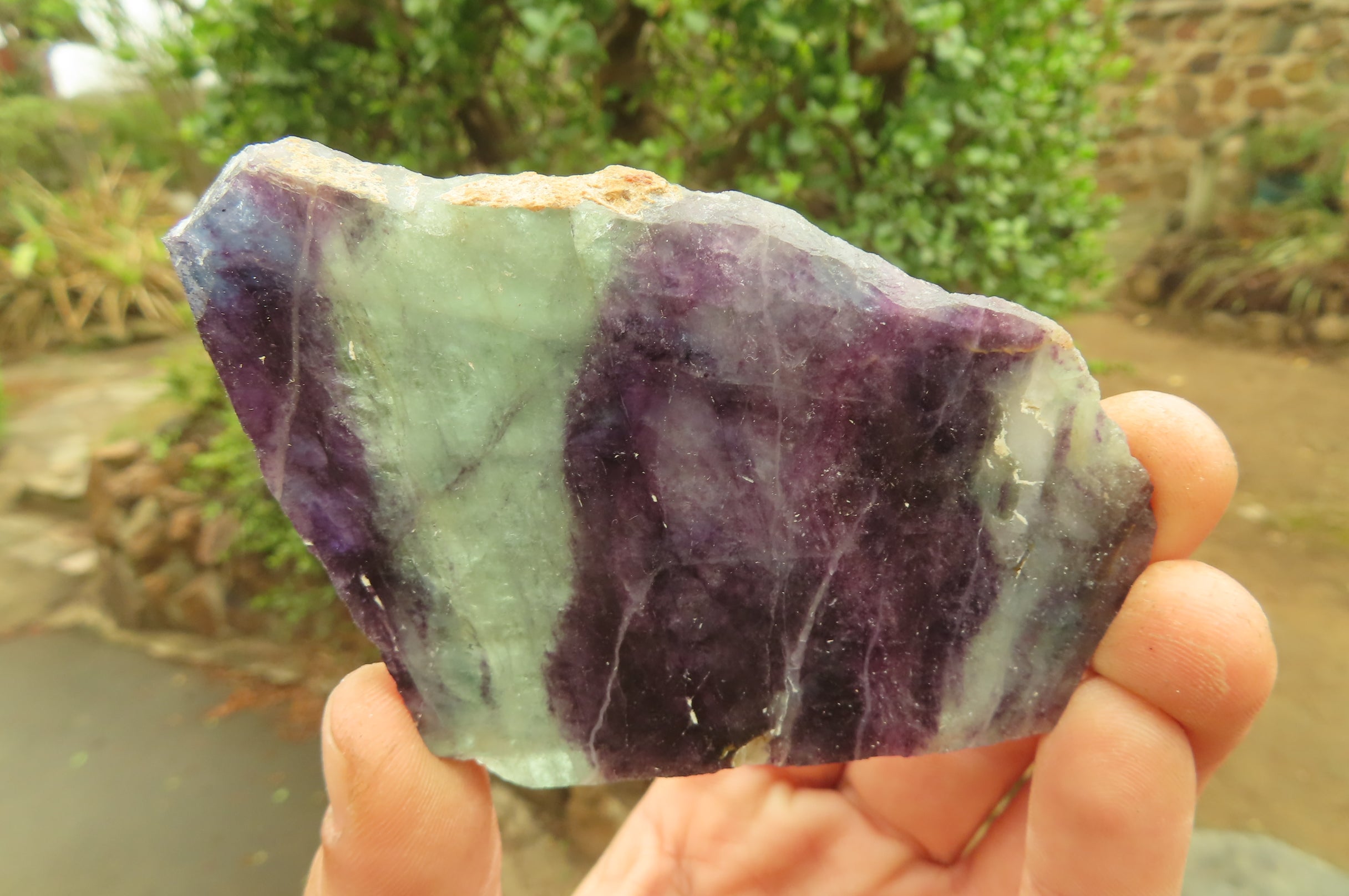 Natural Watermelon Fluorite Slices x 7 From Uis, Namibia - Toprock Gemstones and Minerals 