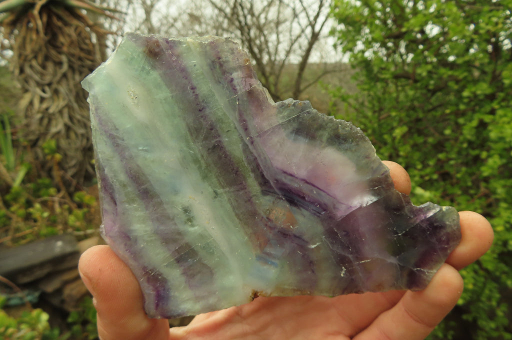 Natural Watermelon Fluorite Slices x 7 From Uis, Namibia - Toprock Gemstones and Minerals 