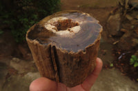 Polished Petrified Wood Branch Pieces x 3 From Gokwe, Zimbabwe - Toprock Gemstones and Minerals 