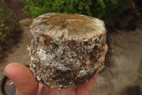 Polished Petrified Wood Branch Pieces x 3 From Gokwe, Zimbabwe - Toprock Gemstones and Minerals 