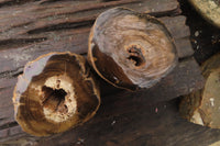 Polished Petrified Wood Branch Pieces x 3 From Gokwe, Zimbabwe - Toprock Gemstones and Minerals 