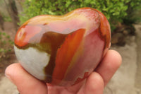 Polished Polychrome Jasper Hearts x 6 From Madagascar