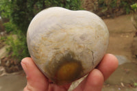 Polished Polychrome Jasper Hearts x 6 From Madagascar