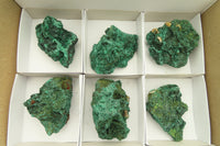 Natural Silky Malachite Specimens x 6 From Kasompe, Congo - Toprock Gemstones and Minerals 