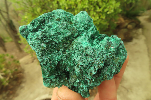 Natural Silky Malachite Specimens x 6 From Kasompe, Congo - Toprock Gemstones and Minerals 