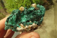 Natural Silky Malachite Specimens x 6 From Kasompe, Congo - Toprock Gemstones and Minerals 
