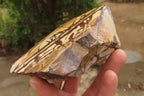 Polished On One Side Nguni Jasper Specimens x 2 From Prieska, South Africa - Toprock Gemstones and Minerals 