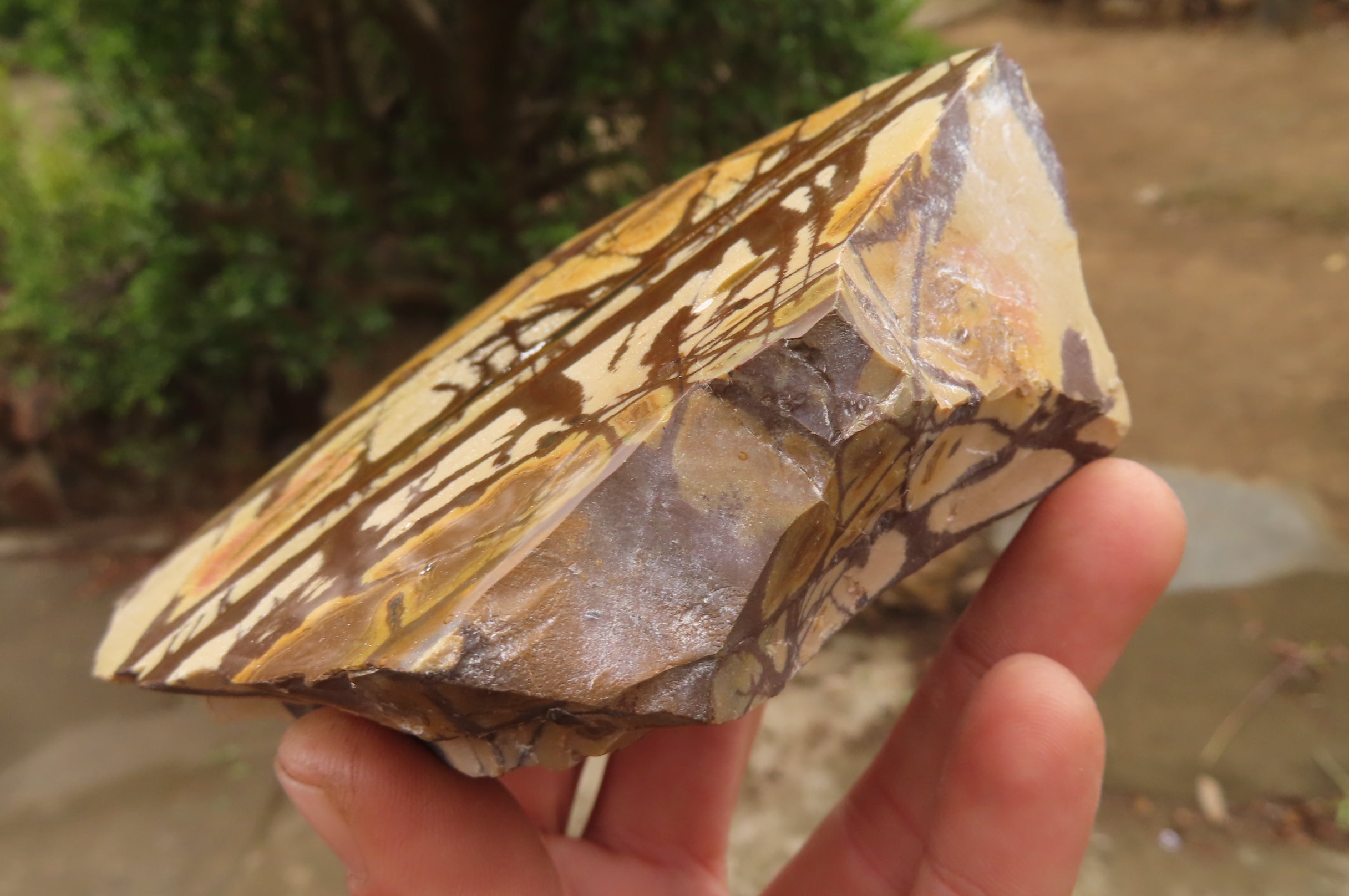Polished On One Side Nguni Jasper Specimens x 2 From Prieska, South Africa - Toprock Gemstones and Minerals 