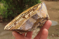 Polished On One Side Nguni Jasper Specimens x 2 From Prieska, South Africa - Toprock Gemstones and Minerals 