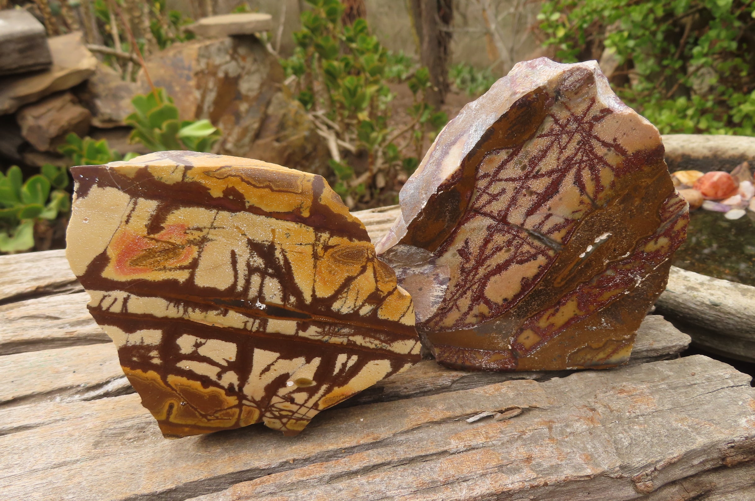 Polished On One Side Nguni Jasper Specimens x 2 From Prieska, South Africa - Toprock Gemstones and Minerals 