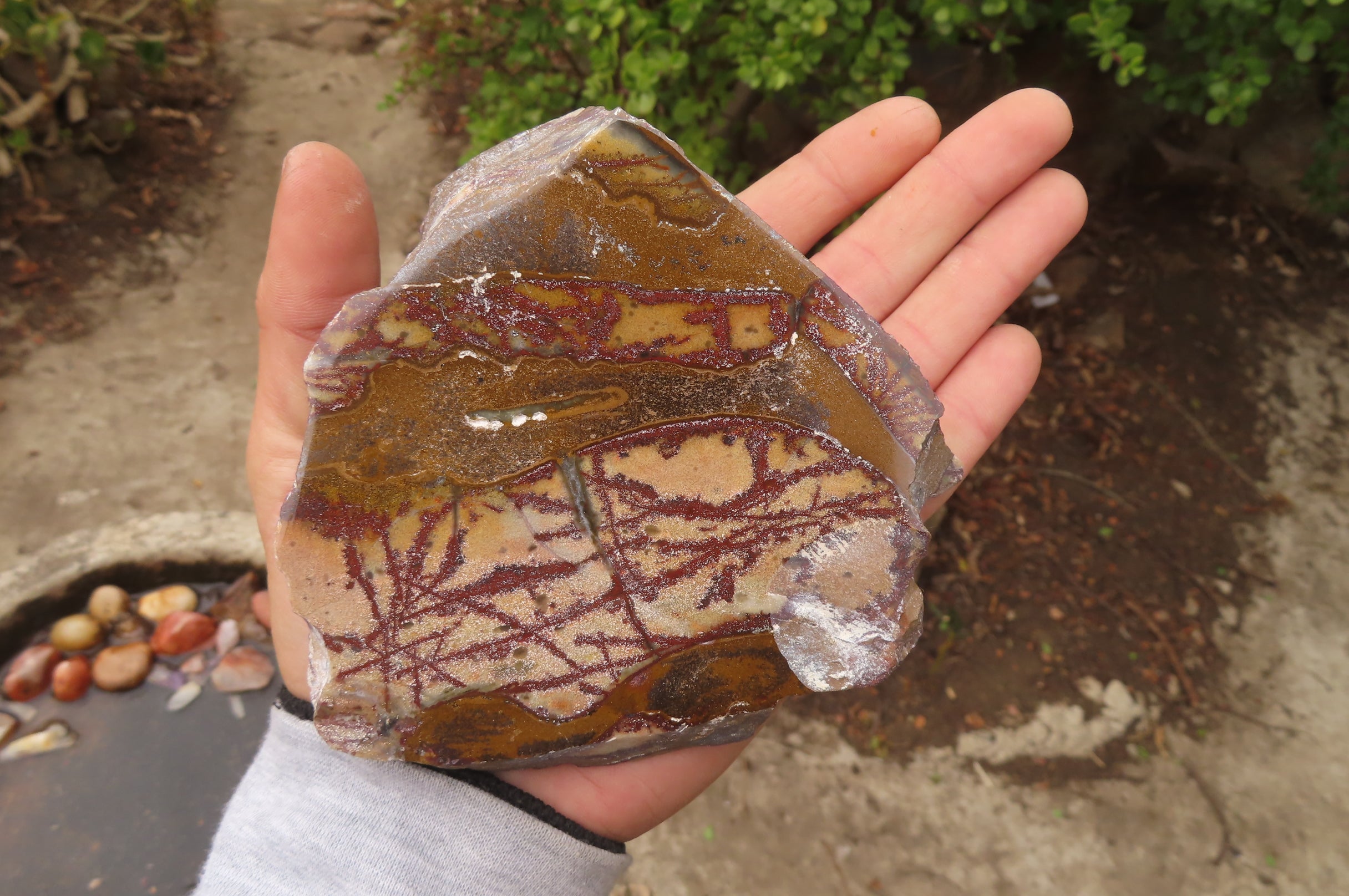 Polished On One Side Nguni Jasper Specimens x 2 From Prieska, South Africa - Toprock Gemstones and Minerals 