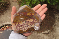 Polished On One Side Nguni Jasper Specimens x 2 From Prieska, South Africa - Toprock Gemstones and Minerals 