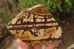 Polished On One Side Nguni Jasper Specimens x 2 From Prieska, South Africa - Toprock Gemstones and Minerals 