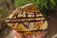 Polished On One Side Nguni Jasper Specimens x 2 From Prieska, South Africa - Toprock Gemstones and Minerals 