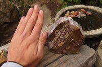 Polished On One Side Nguni Jasper Specimens x 2 From Prieska, South Africa - Toprock Gemstones and Minerals 