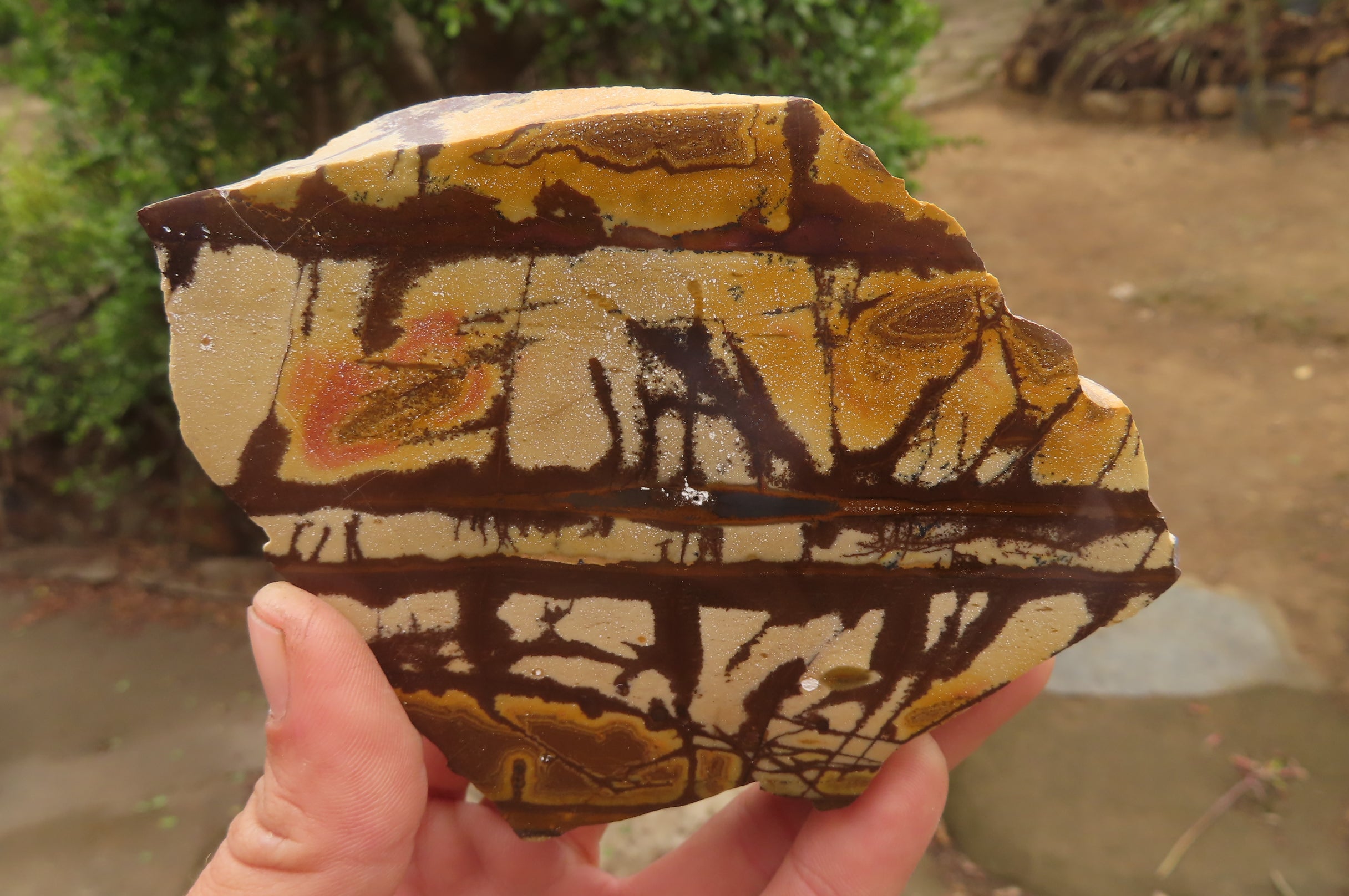 Polished On One Side Nguni Jasper Specimens x 2 From Prieska, South Africa - Toprock Gemstones and Minerals 