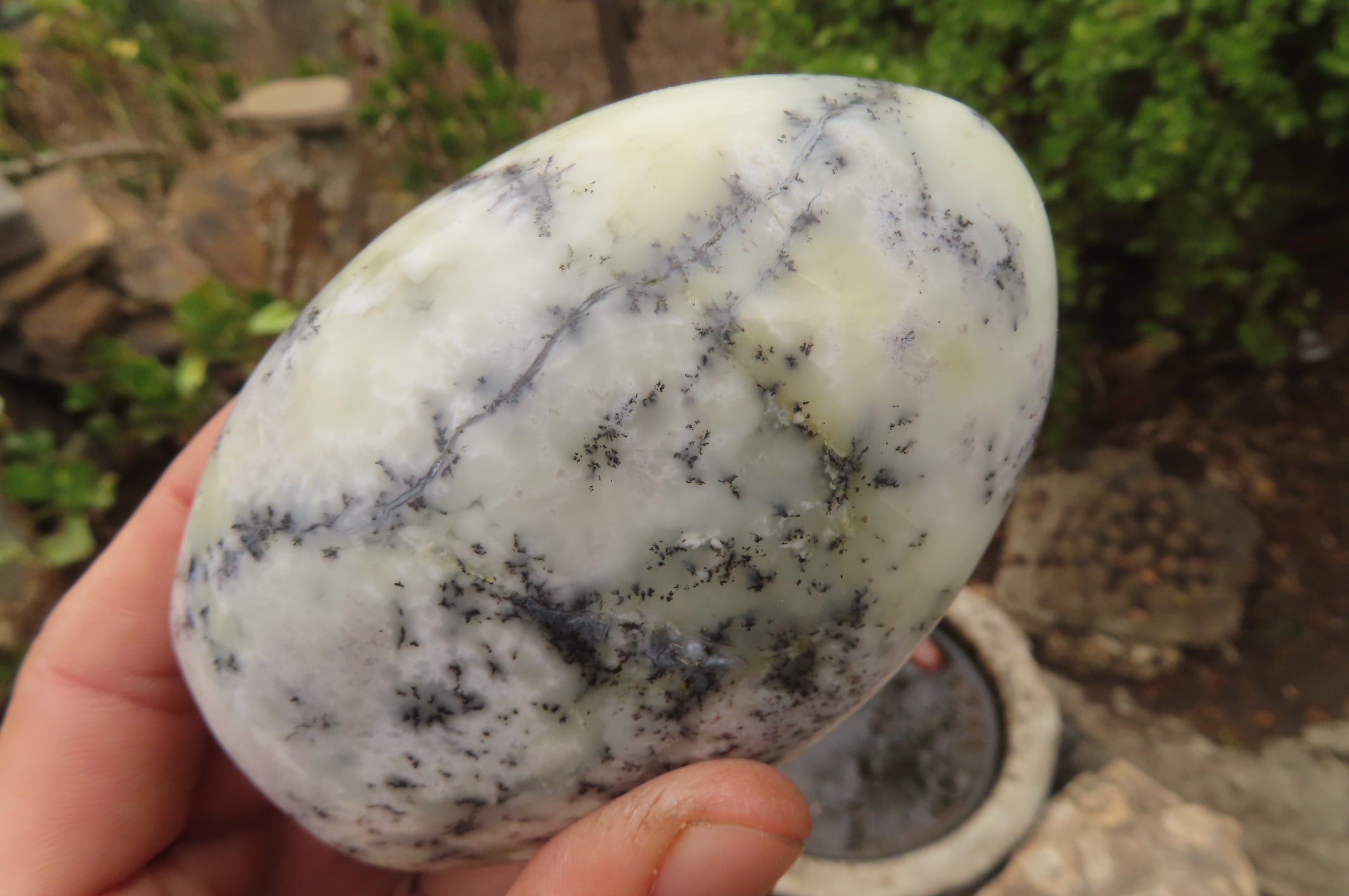 Polished Dendritic Opal Standing Free Forms x 3 From Madagascar - Toprock Gemstones and Minerals 