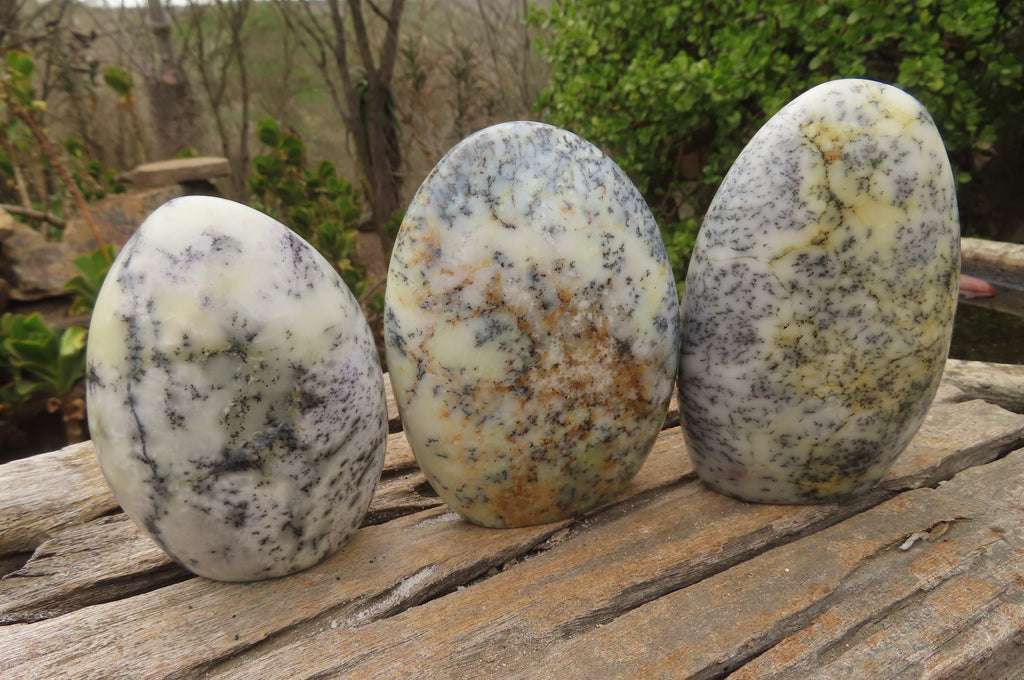 Polished Dendritic Opal Standing Free Forms x 3 From Madagascar - Toprock Gemstones and Minerals 