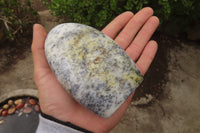 Polished Dendritic Opal Standing Free Forms x 3 From Madagascar - Toprock Gemstones and Minerals 