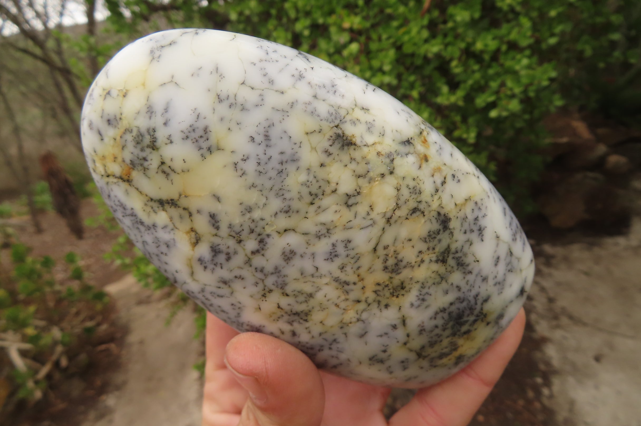 Polished Dendritic Opal Standing Free Forms x 3 From Madagascar - Toprock Gemstones and Minerals 