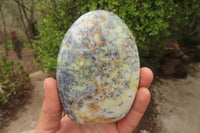 Polished Dendritic Opal Standing Free Forms x 3 From Madagascar - Toprock Gemstones and Minerals 