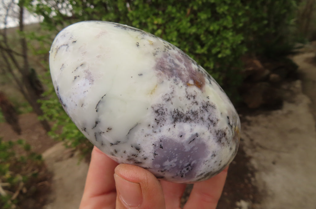 Polished Dendritic Opal Standing Free Forms x 3 From Madagascar - Toprock Gemstones and Minerals 