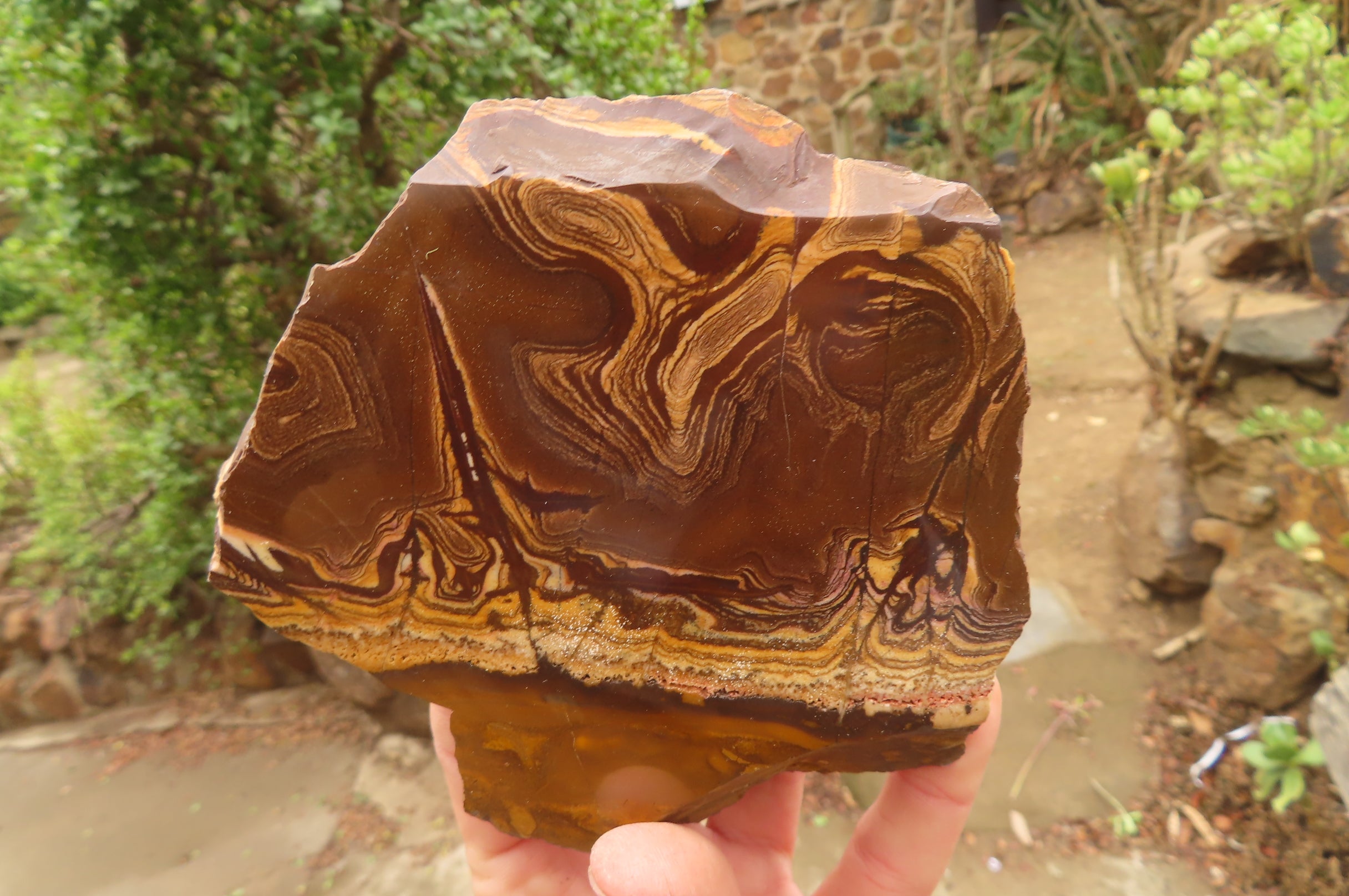 Polished On One Side Nguni Jasper Specimens x 3 From Prieska, South Africa - Toprock Gemstones and Minerals 