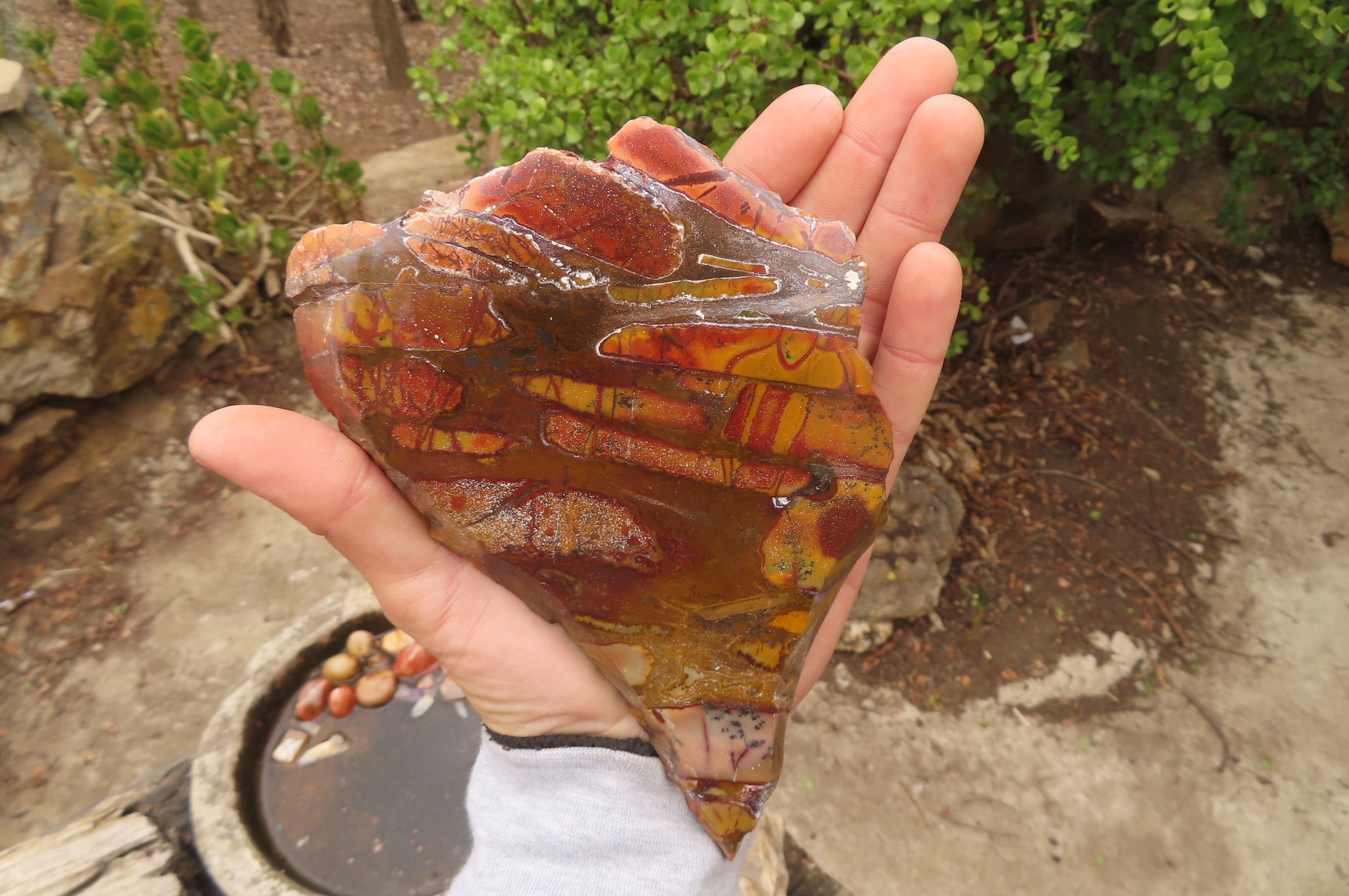 Polished On One Side Nguni Jasper Specimens x 3 From Prieska, South Africa - Toprock Gemstones and Minerals 