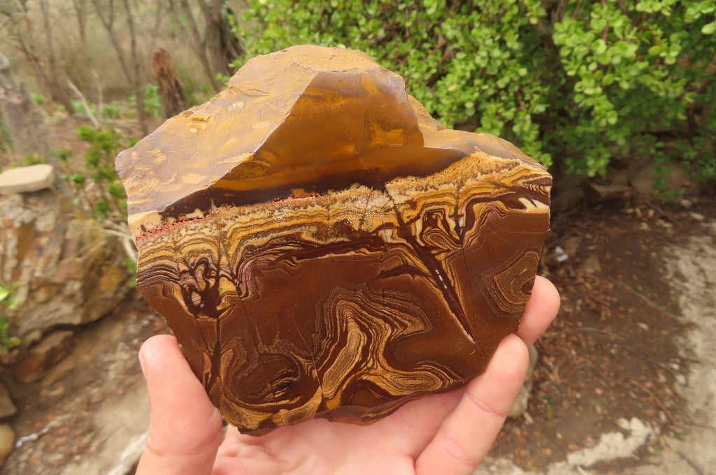 Polished On One Side Nguni Jasper Specimens x 3 From Prieska, South Africa - Toprock Gemstones and Minerals 