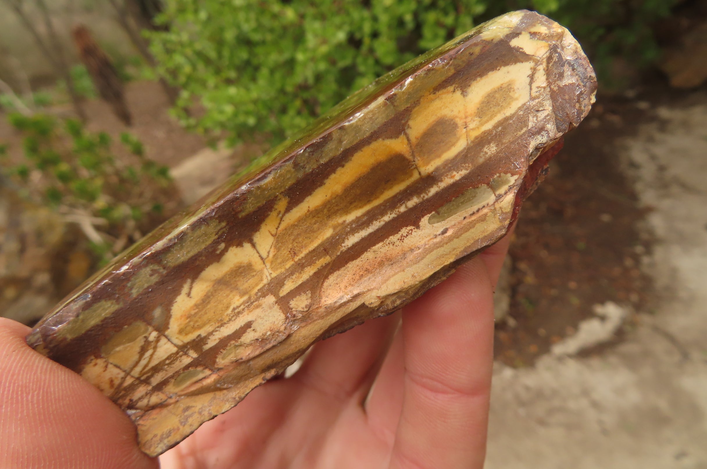 Polished On One Side Nguni Jasper Specimens x 3 From Prieska, South Africa - Toprock Gemstones and Minerals 