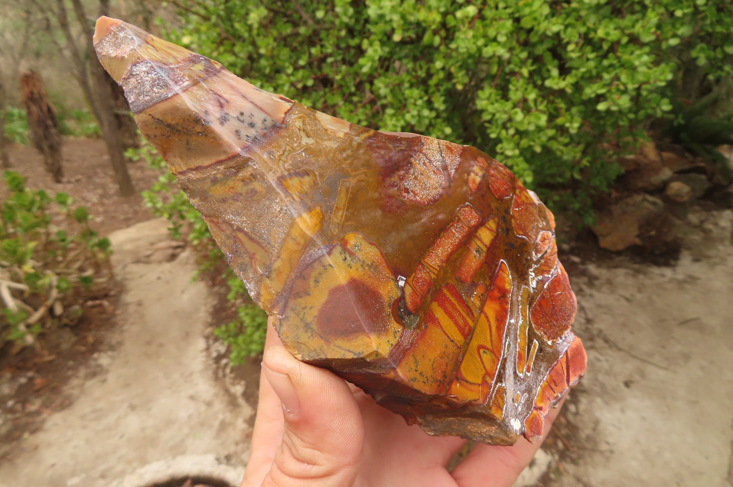 Polished On One Side Nguni Jasper Specimens x 3 From Prieska, South Africa - Toprock Gemstones and Minerals 