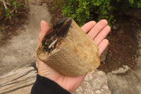 Polished Petrified Wood Branch Pieces x 3 From Gokwe, Zimbabwe - Toprock Gemstones and Minerals 
