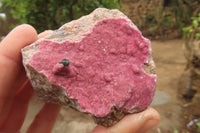 Natural Salrose Cobaltion Dolomite Specimens x 6 From Kakanda, Congo - Toprock Gemstones and Minerals 