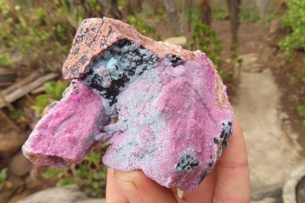 Natural Salrose Cobaltion Dolomite Specimens x 6 From Kakanda, Congo - Toprock Gemstones and Minerals 