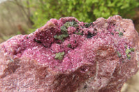 Natural Salrose Cobaltion Dolomite Specimens x 6 From Kakanda, Congo - Toprock Gemstones and Minerals 