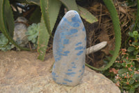 Polished Blue Spinel Spotted Quartz Standing Free Form x 1 From Madagascar - Toprock Gemstones and Minerals 