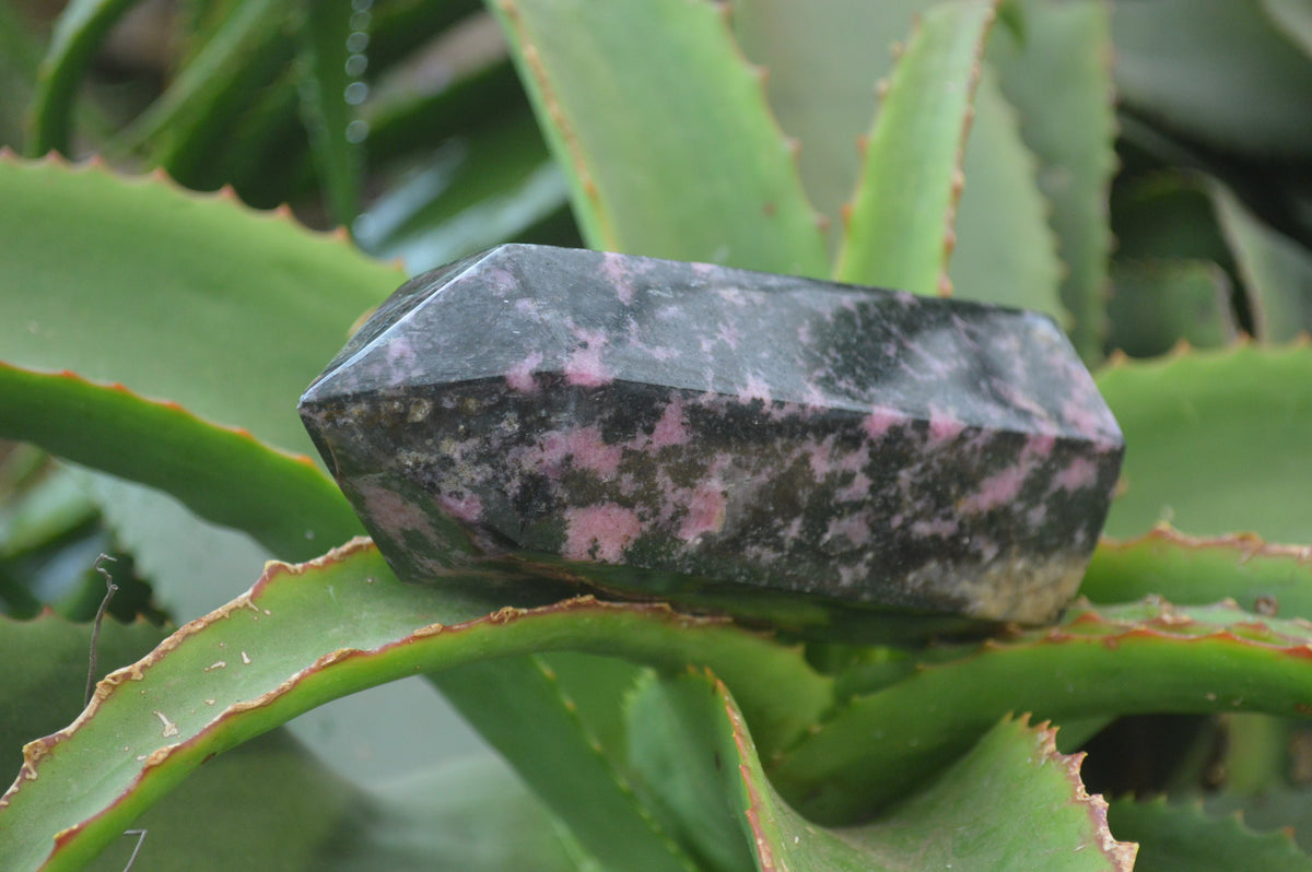 Polished Rhodonite Point-Prisms x 3 From Ambindavato, Madagascar - Toprock Gemstones and Minerals 
