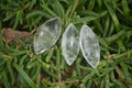 Polished Clear Quartz "Angel Tears" Pendant Pieces x 20 From Madagascar - Toprock Gemstones and Minerals 