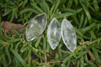 Polished Clear Quartz "Angel Tears" Pendant Pieces x 20 From Madagascar - Toprock Gemstones and Minerals 