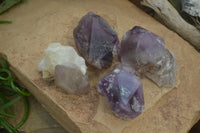 Polished Window Amethyst Crystals x 4 From Madagascar - Toprock Gemstones and Minerals 
