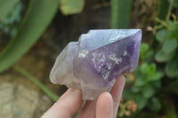 Polished Window Amethyst Crystals x 4 From Madagascar - Toprock Gemstones and Minerals 