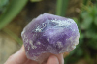 Polished Window Amethyst Crystals x 4 From Madagascar - Toprock Gemstones and Minerals 