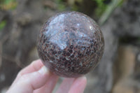 Polished Pyrope Garnet Sphere-Balls x 4 From Madagascar